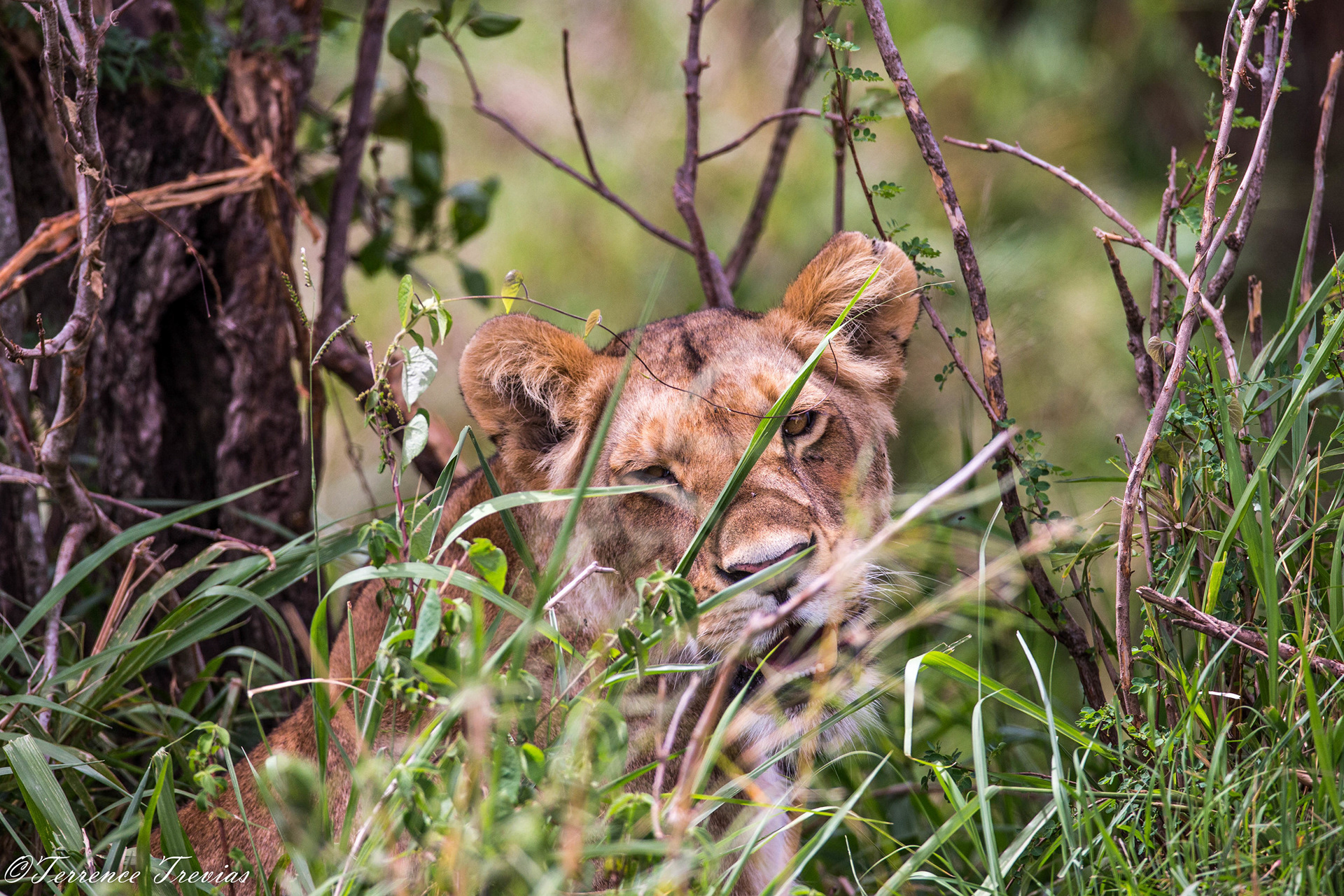 I wonder if they can see me?