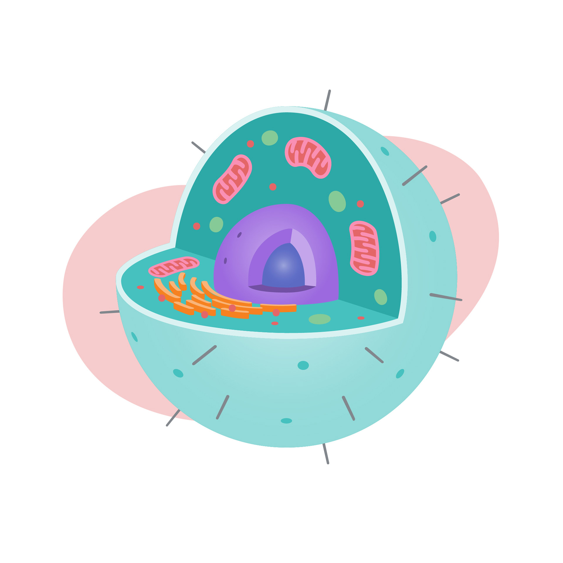 Organisms