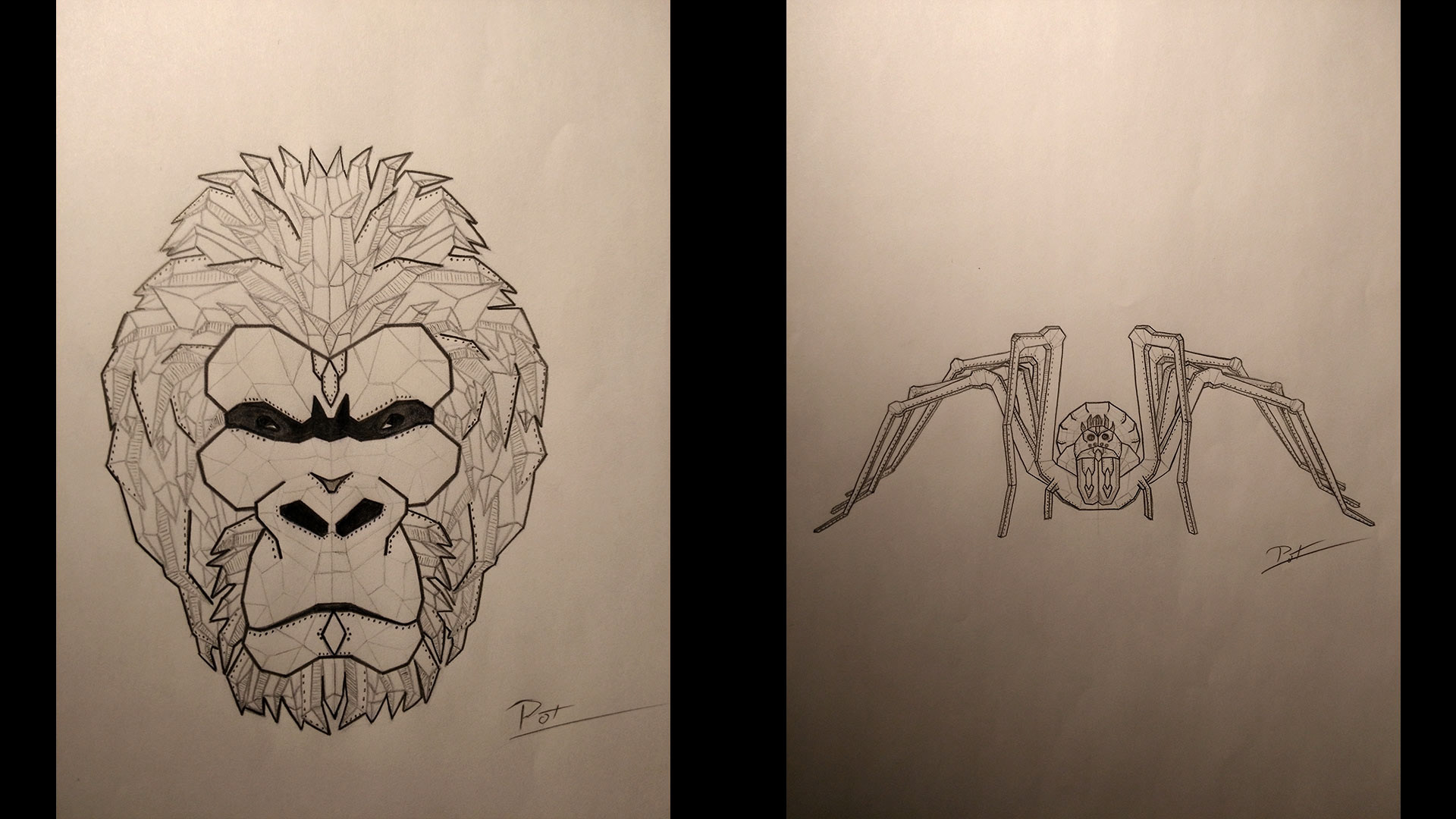 Gorilla - Spider