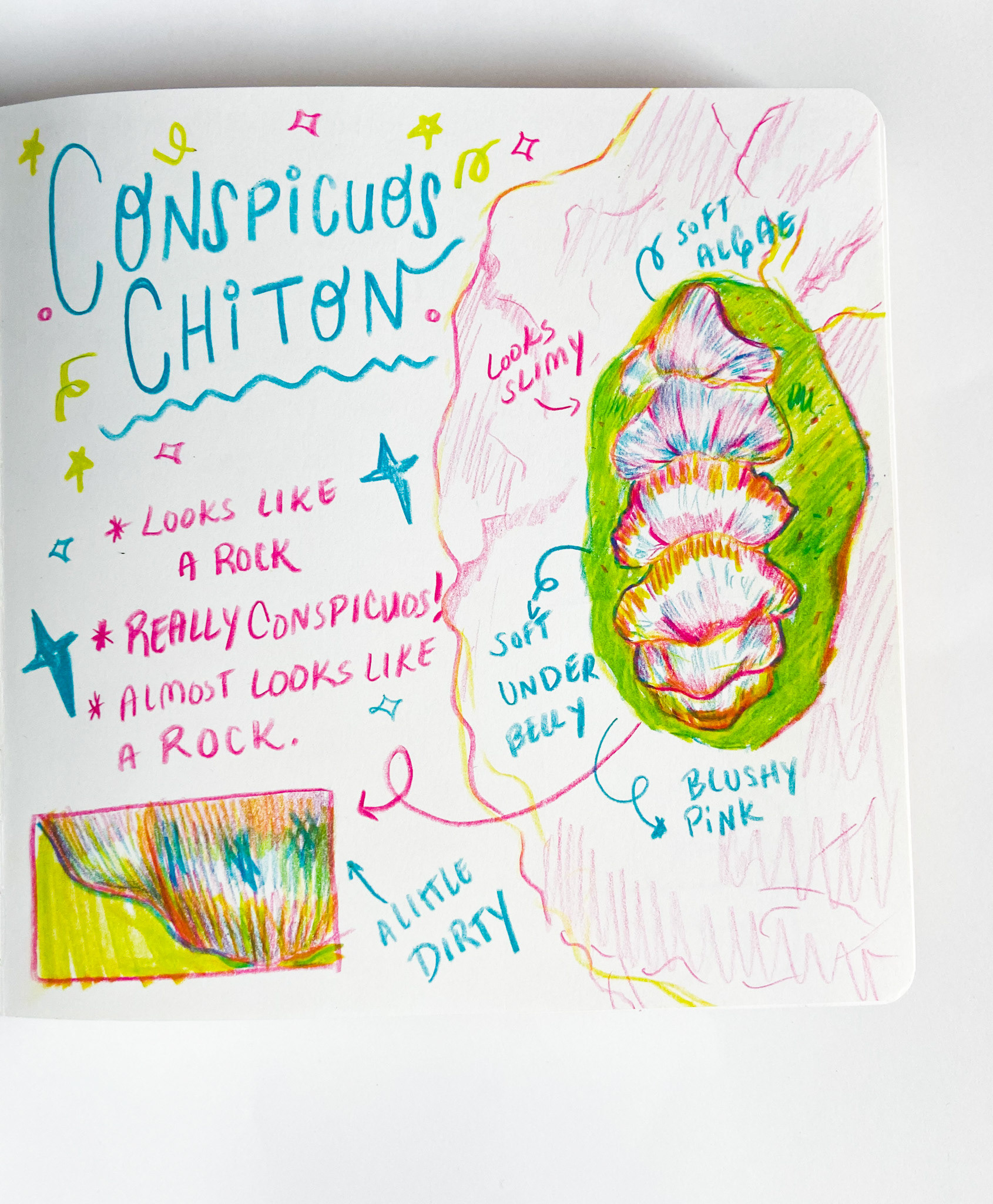 Nature Journaling on April 16, 2021