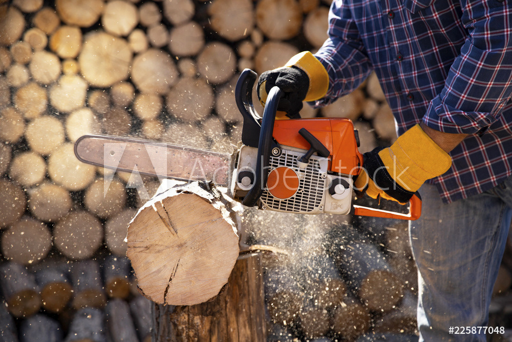 See saw tree. Woodcutter Woods Chainsaw. Cutting Tree with sawdust. Длительность непрерывной работы с бензопилой. Кто работает с пилой?.