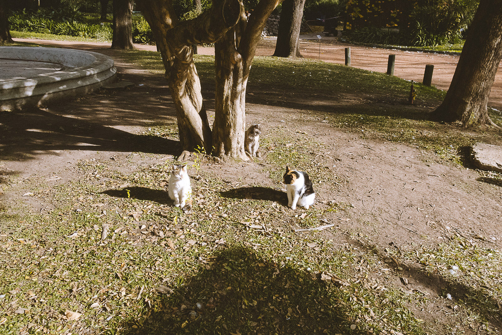 Jardín Botánico de Buenos Aires