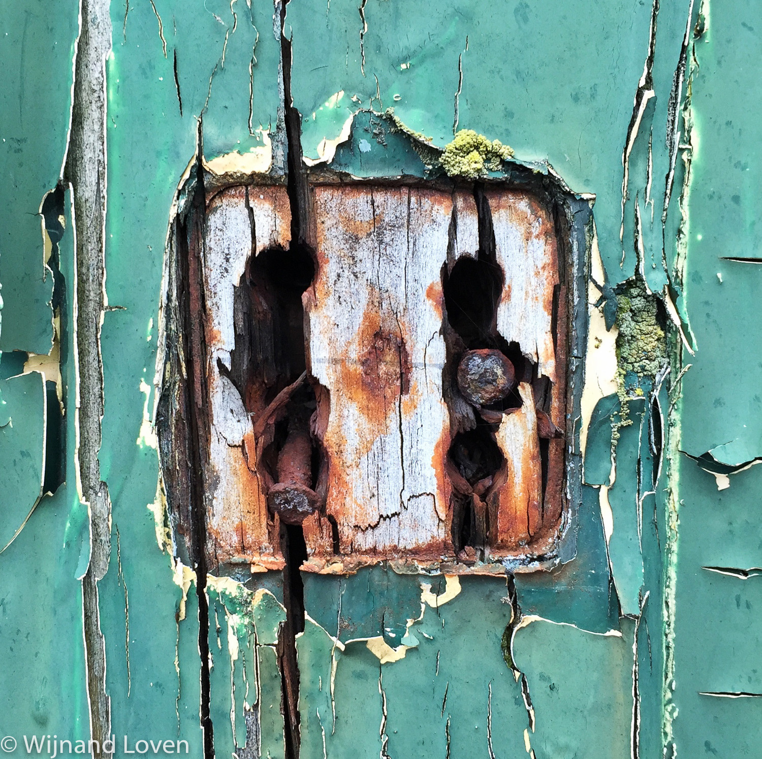 mobile photography - shapes