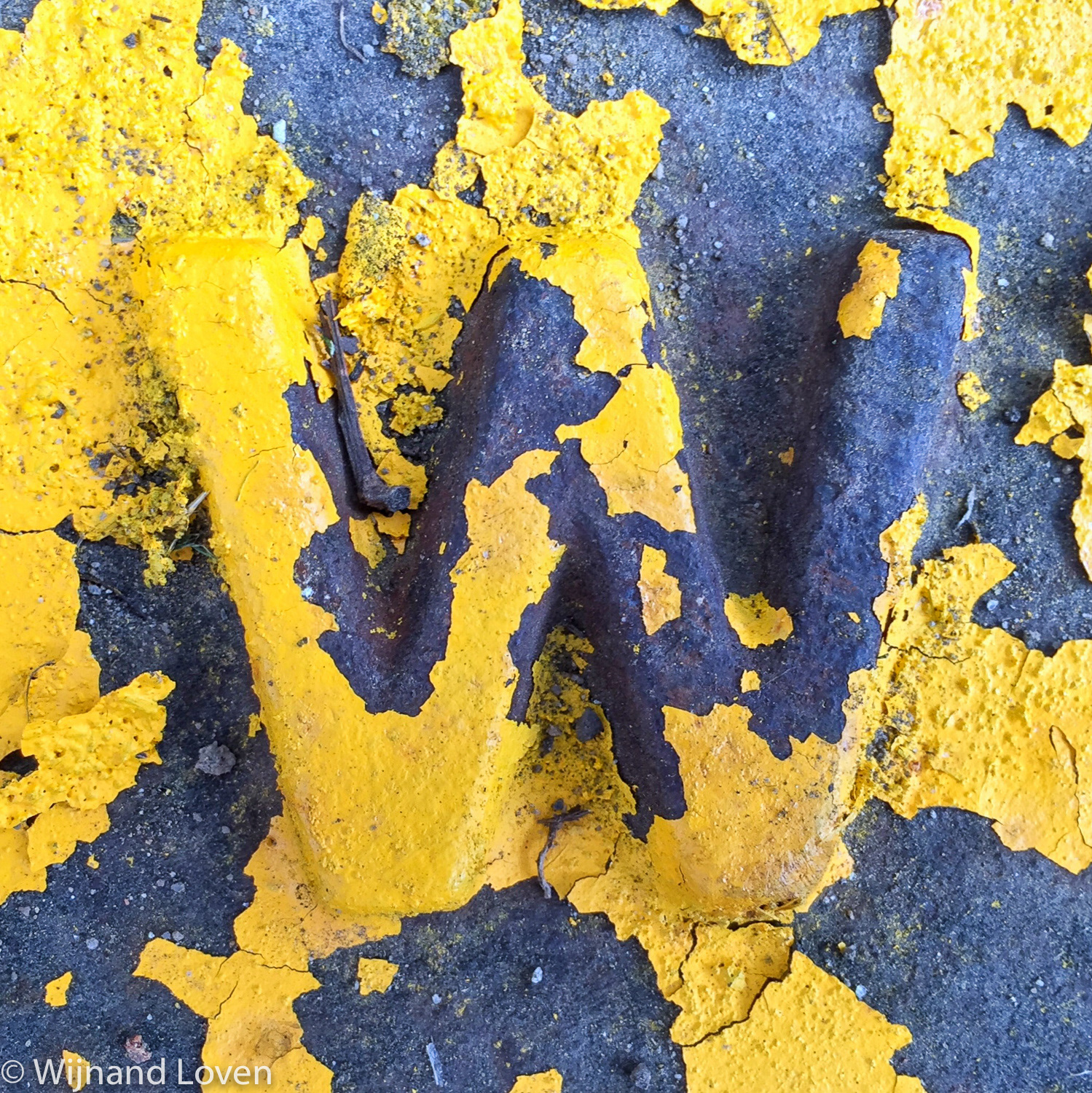 mobile photography - type details