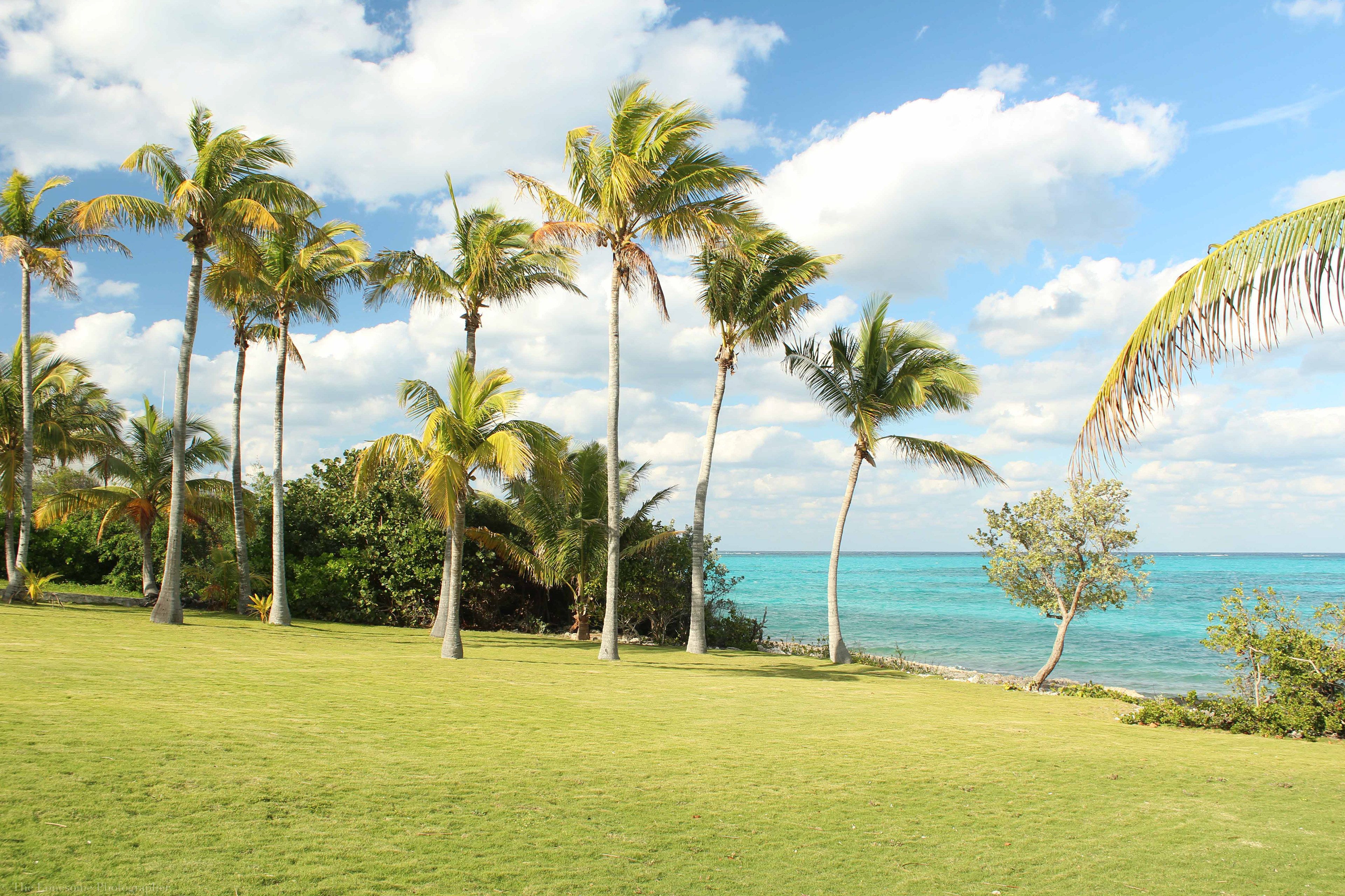 Bahamian Tales Landscapes