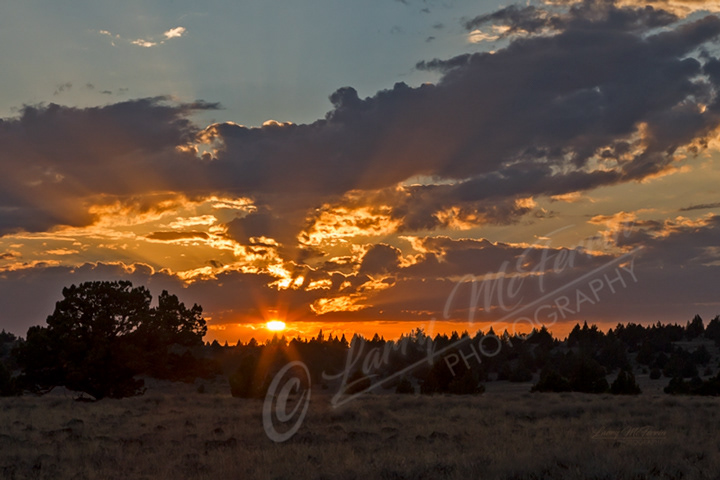 Steens Mountain Sunset, Oregon - Image #4284