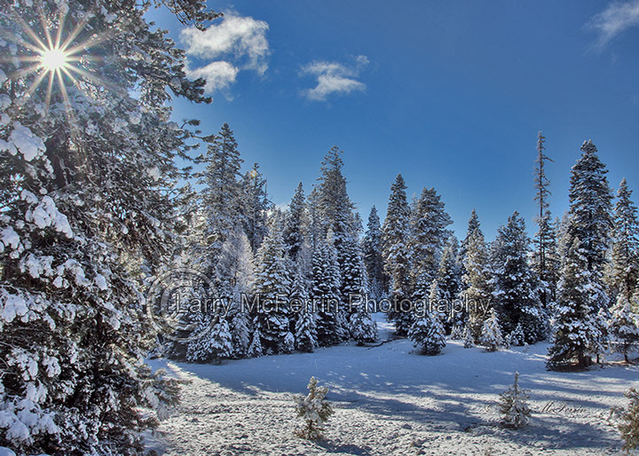 Ochoco NF, Crook County, Oregon - Image #0119
