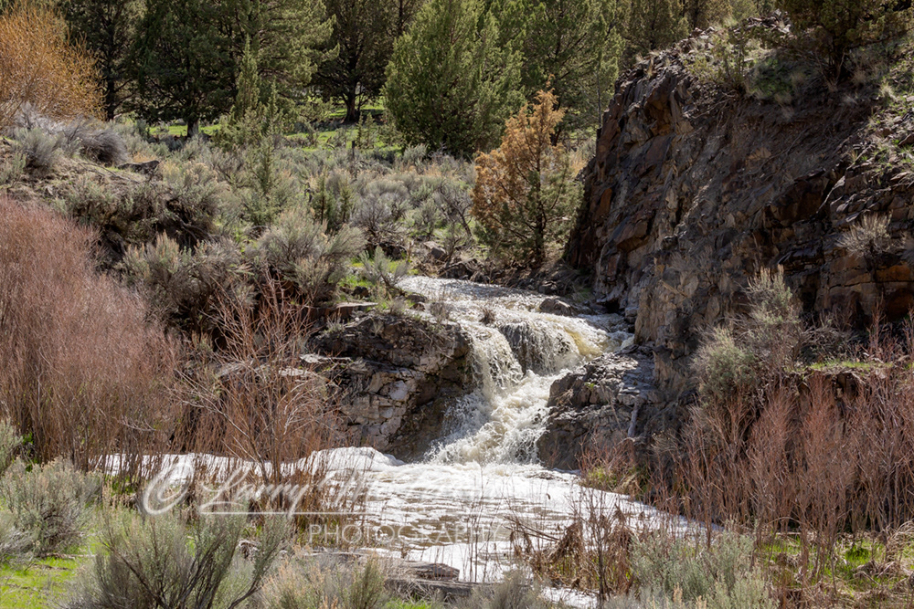 Un-named Cascade, Crook County, Oregon - Image #7858
