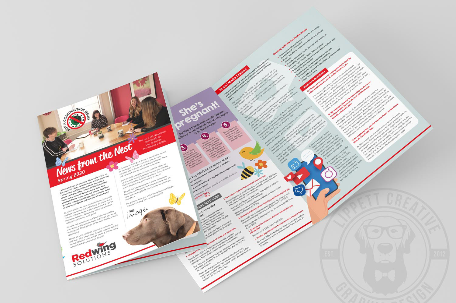Newsletter for Redwing Solutions, Redditch