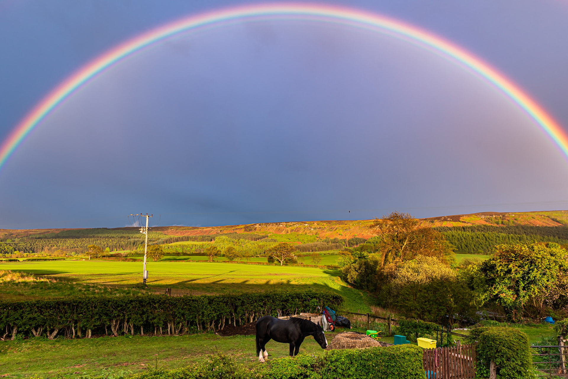 Rainbow above Horse