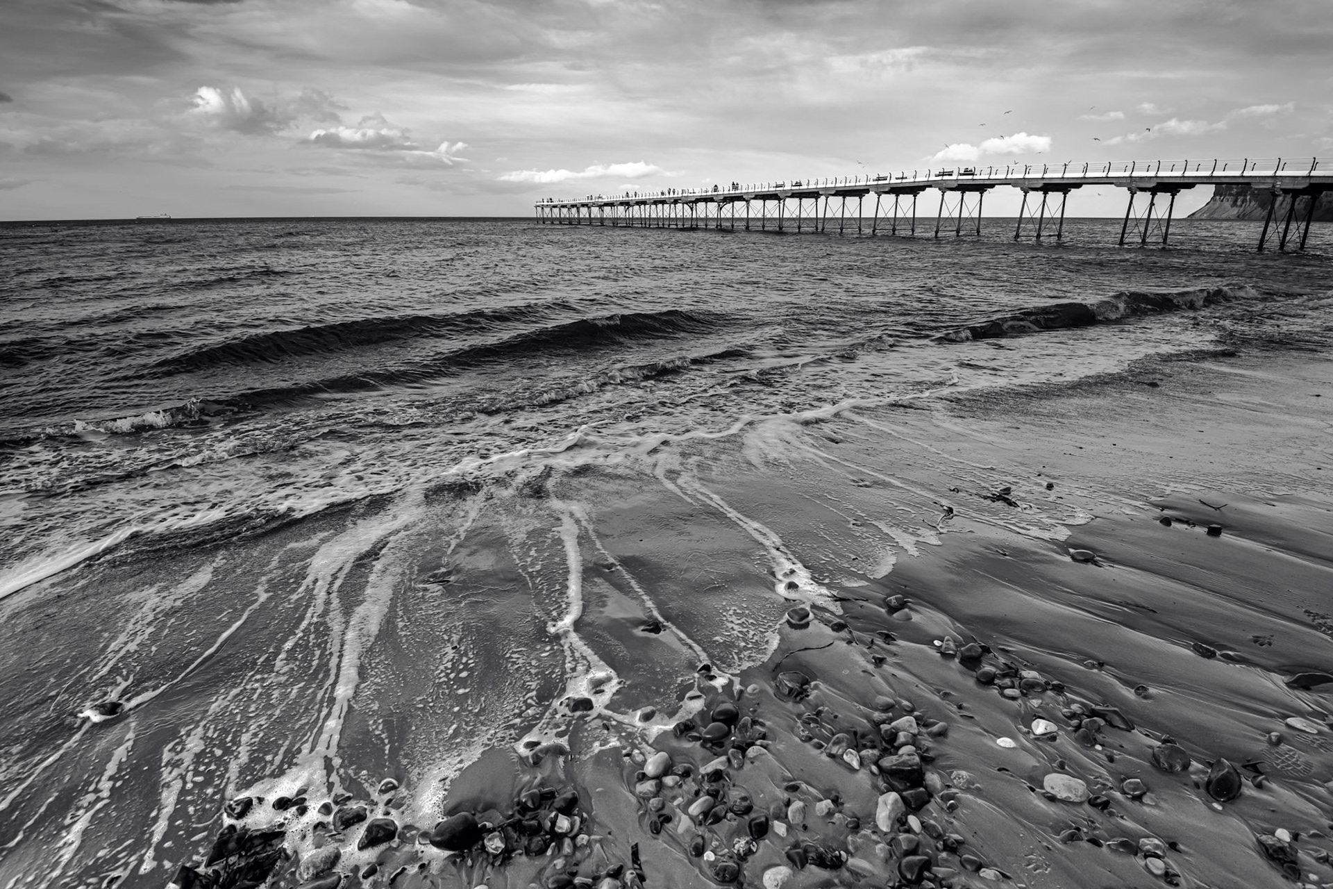 Saltburn bnw