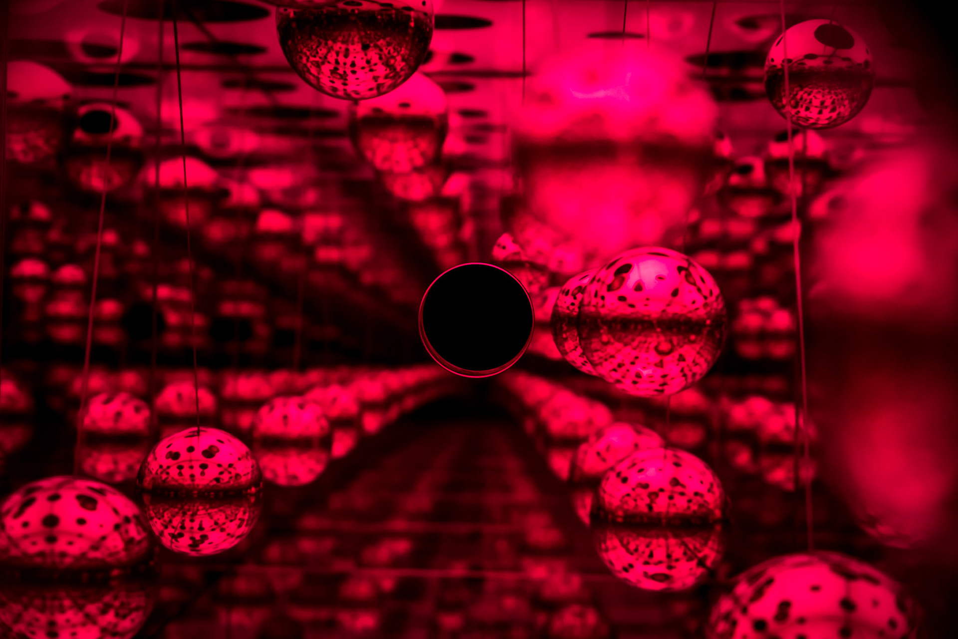 dots obsession