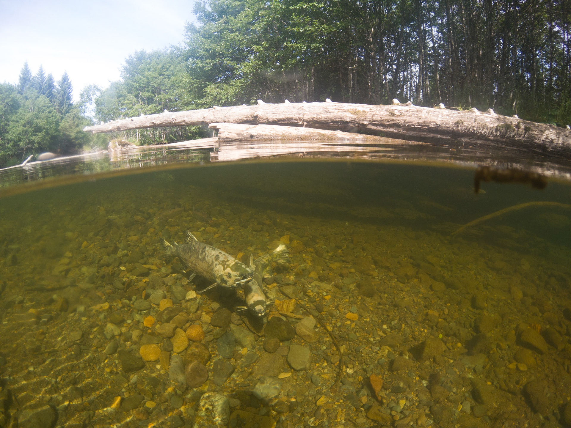 C:\DCIM\100GOPRO\GOPR1097.GPR