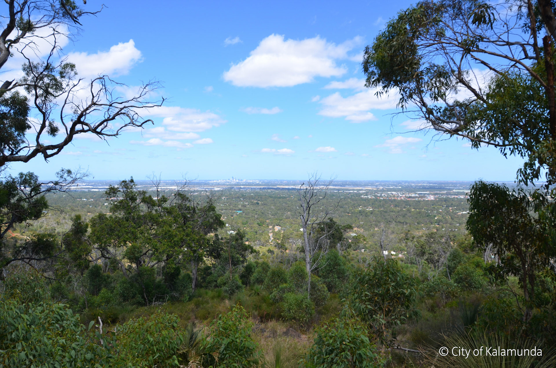 Gooseberry Hill