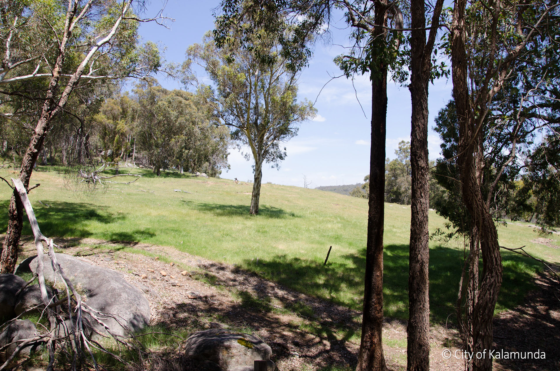 Piesse Brook