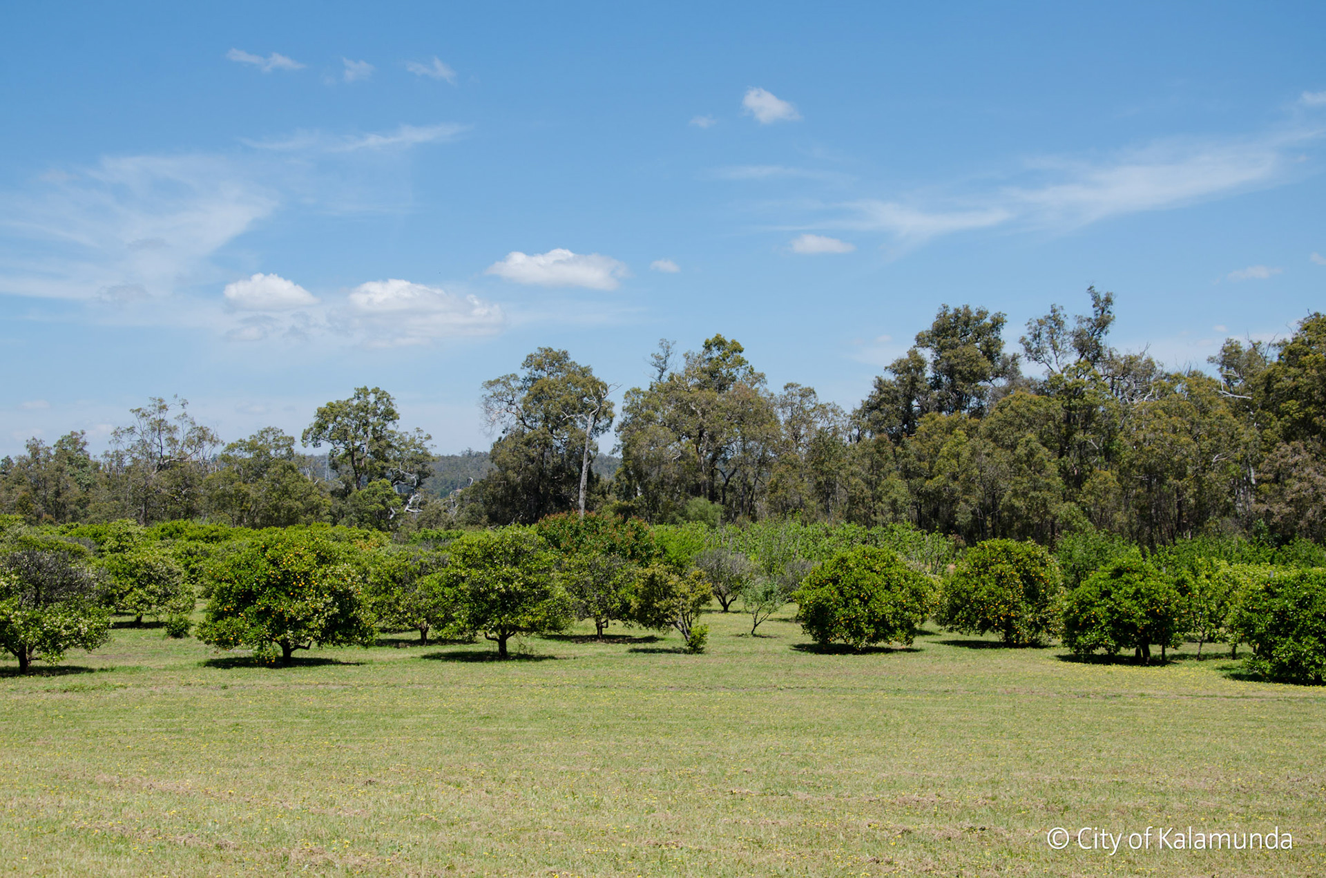 Paulls Valley