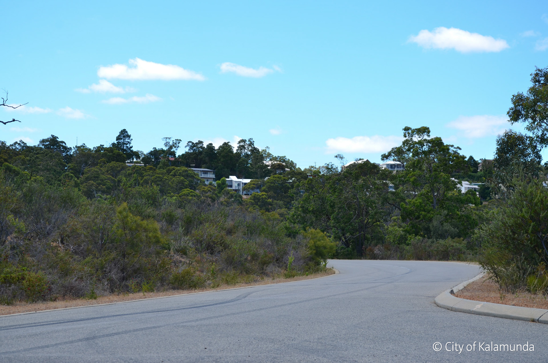 Gooseberry Hill