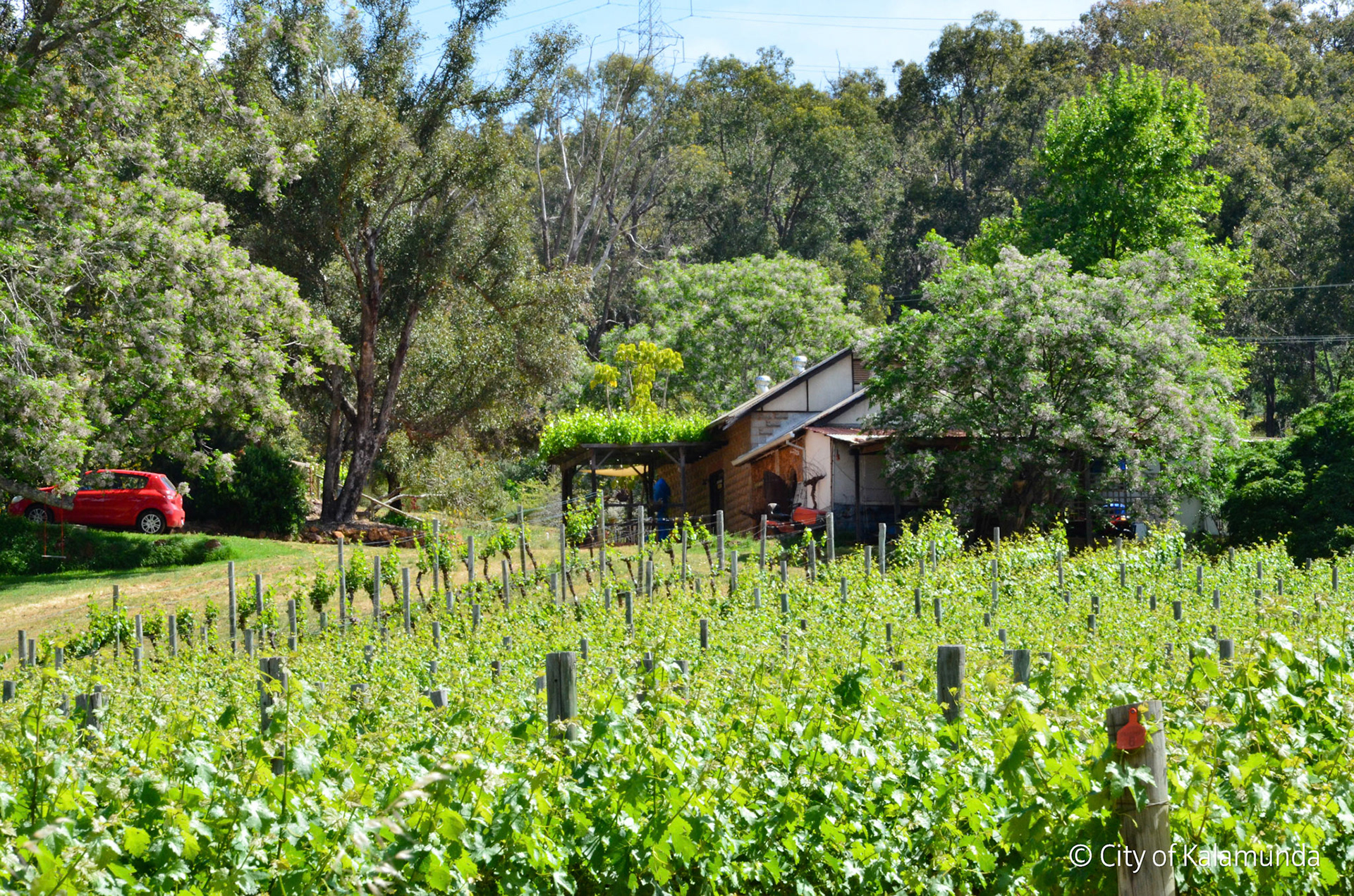 Kalamunda