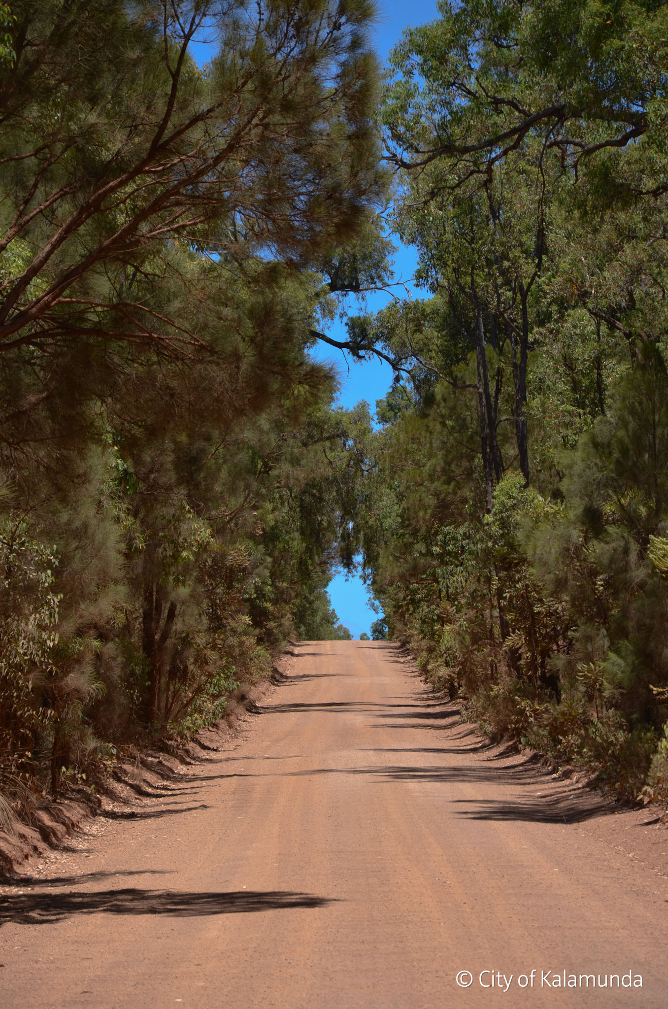 Hacketts gully