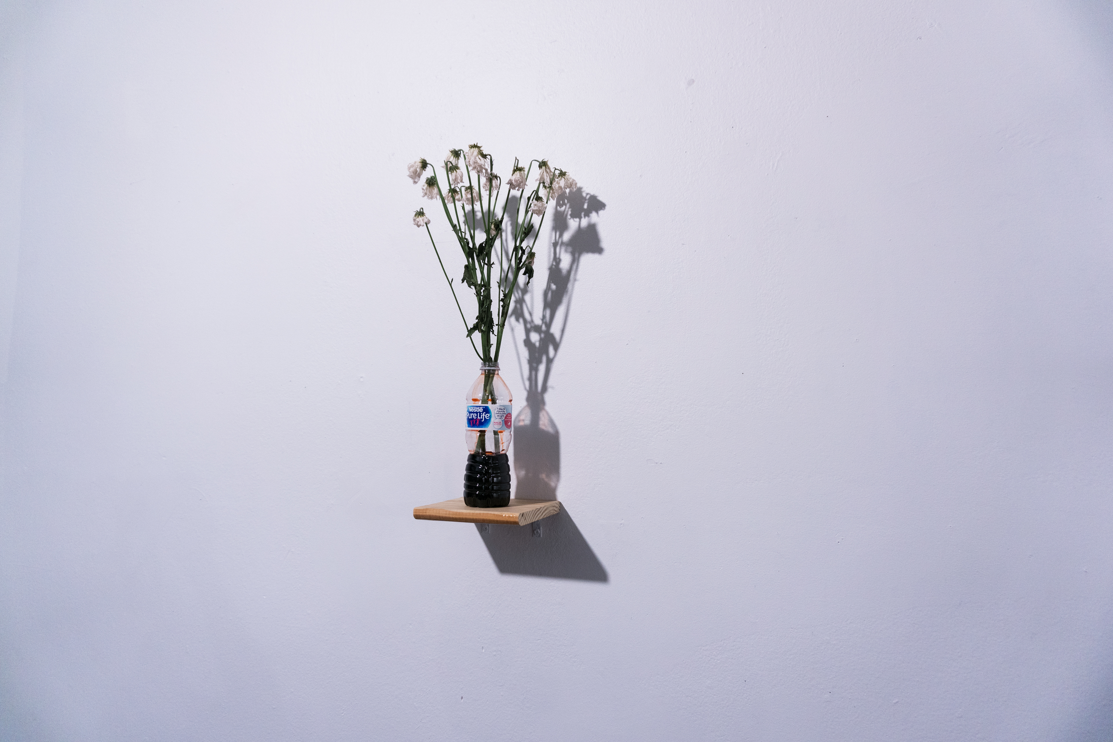 Hugo Aldana Jr, "Pure Lies", 2017, Nestlé water bottle, daisies, artificial blood, Dimensions variable
