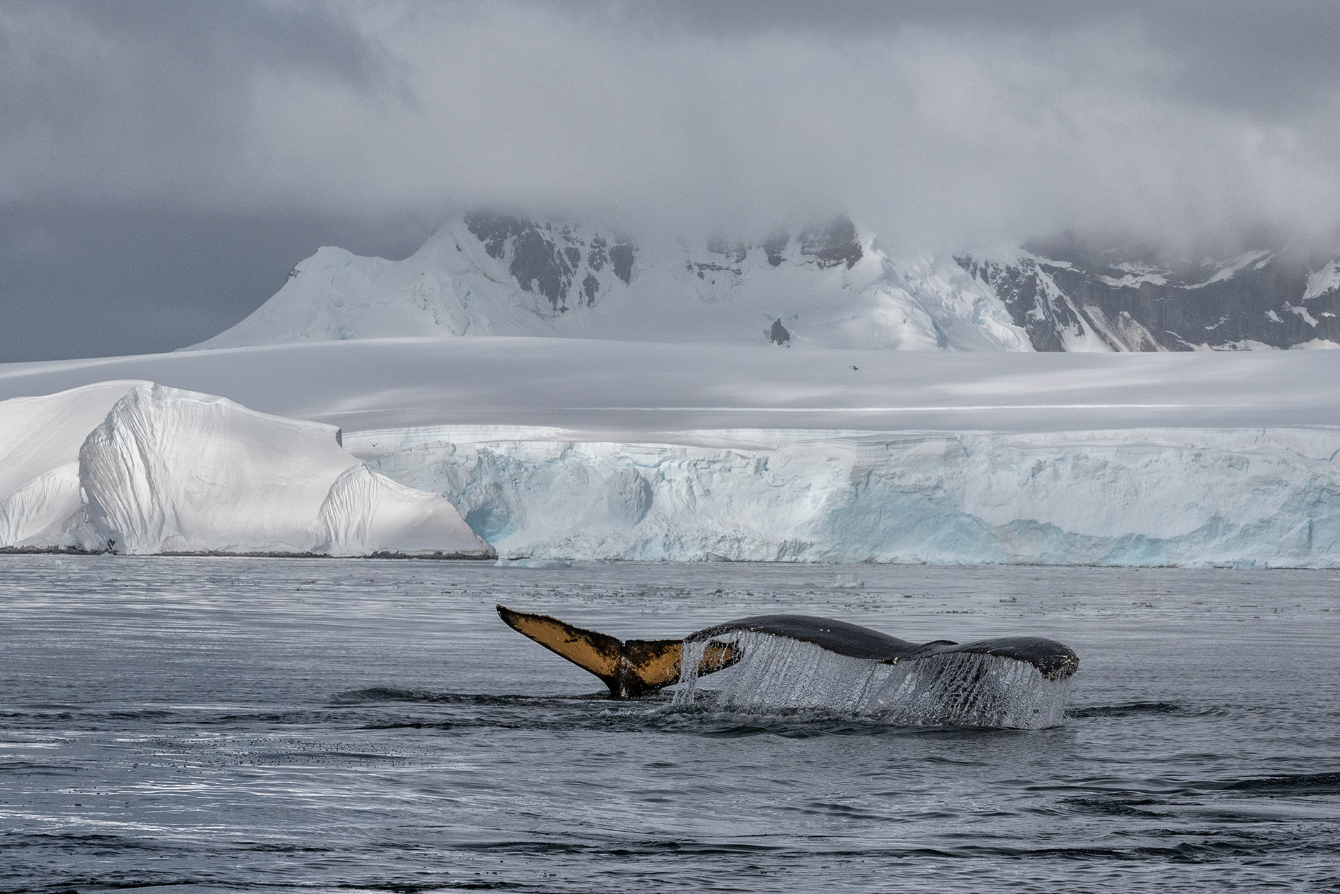 Fournier Bay, Antarctica