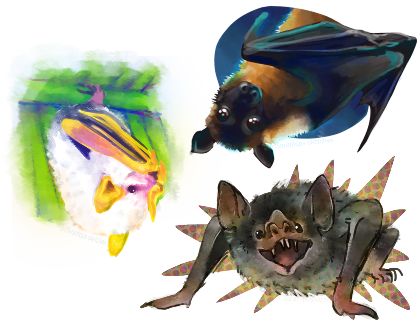 Bats; Digital