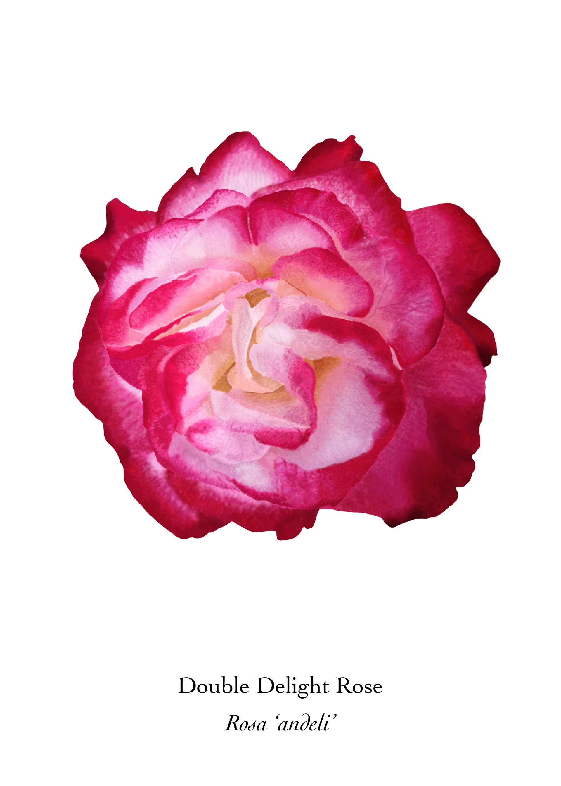 Available at: https://displate.com/displate/1434640