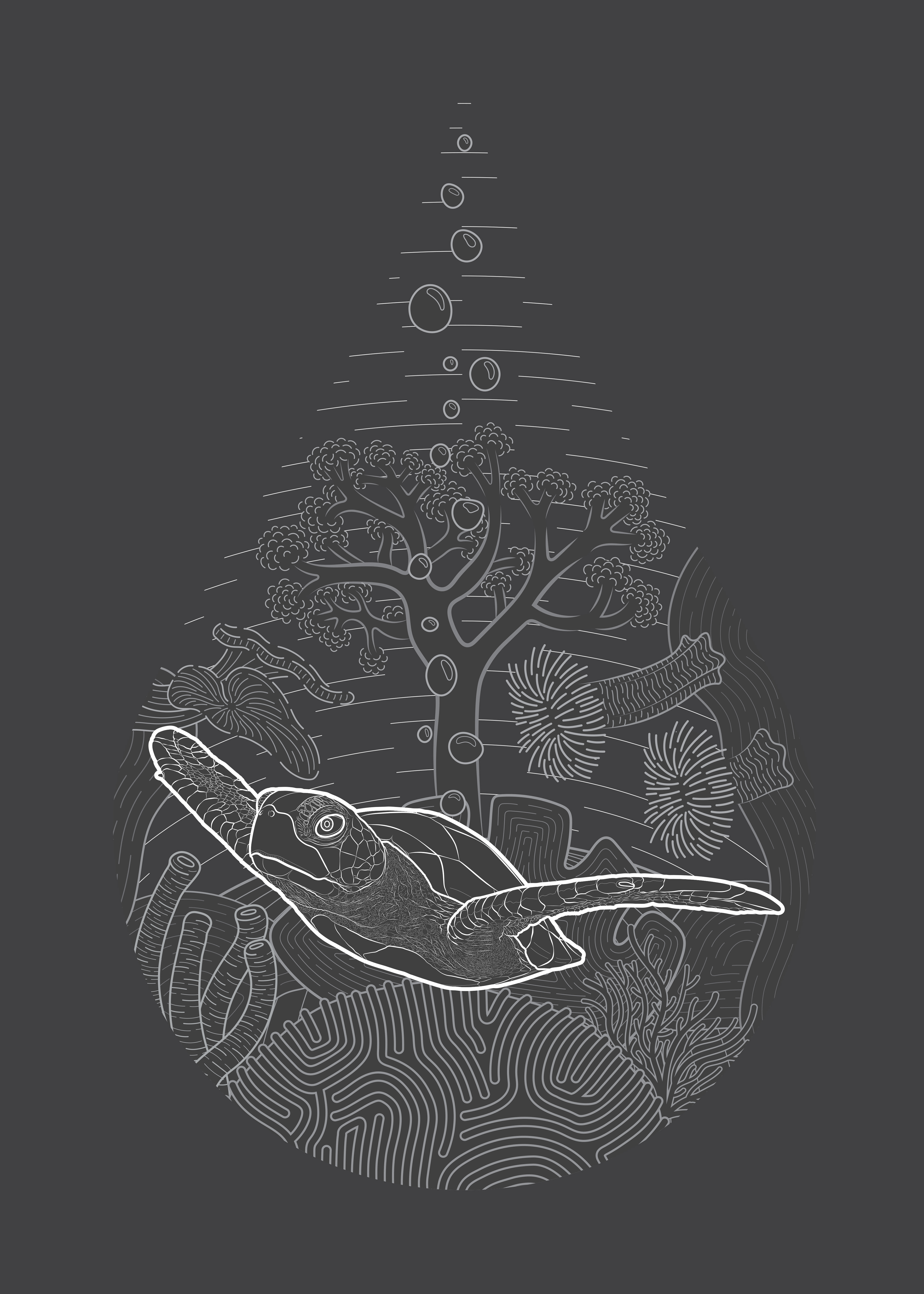 Turt Droplet Inverted