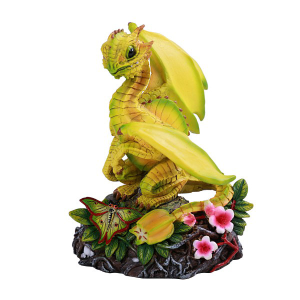 STAR FRUIT
