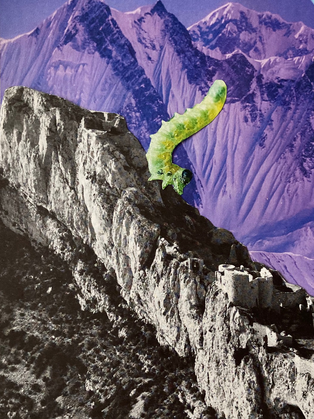 Na szlaku/ On the trail 2020