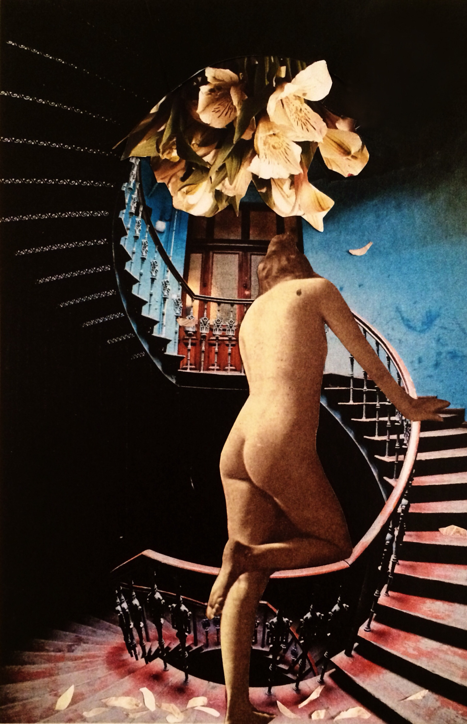 Lokatorka / Tenant (2018) 