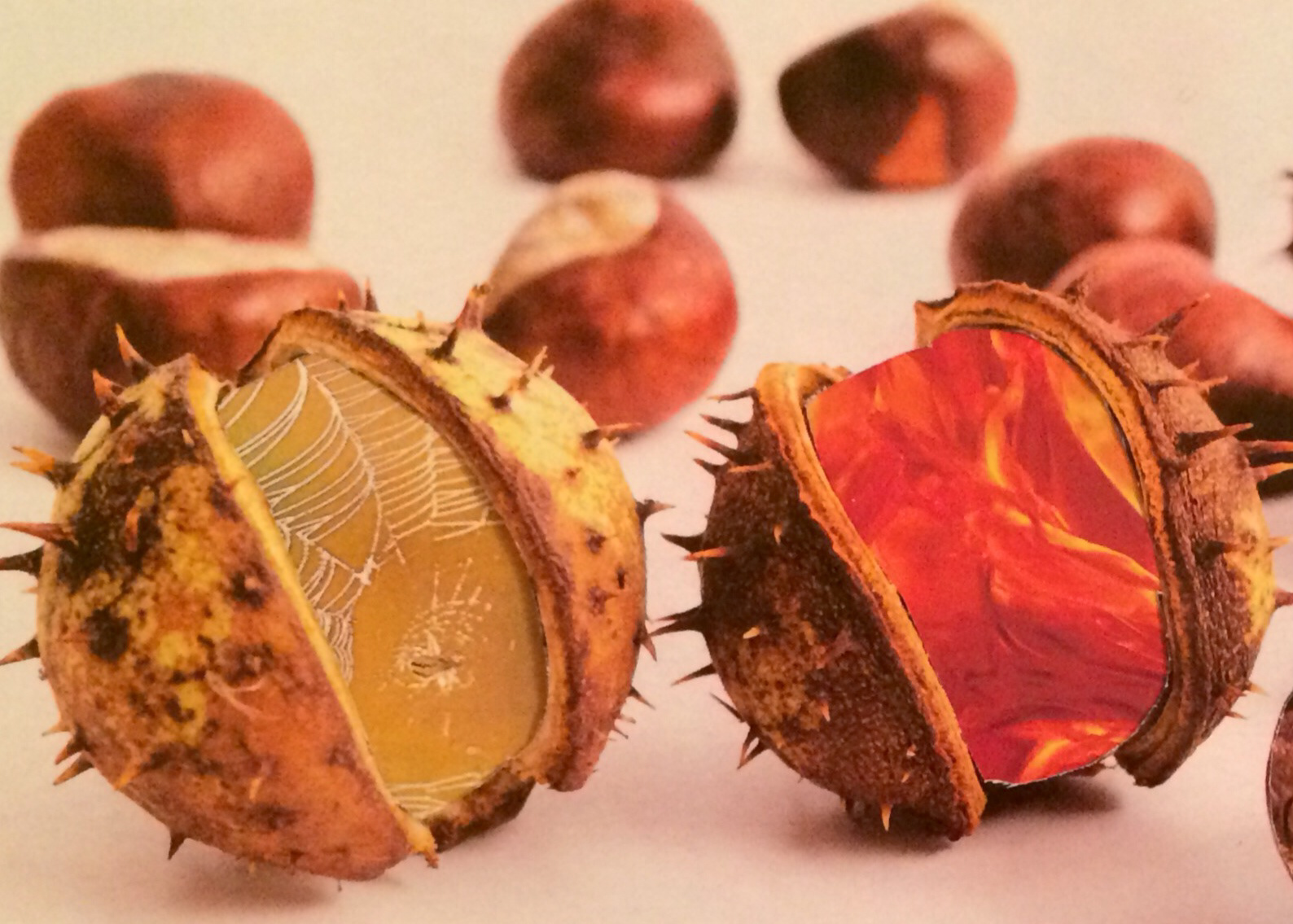 Jesień / Autumn (2015)