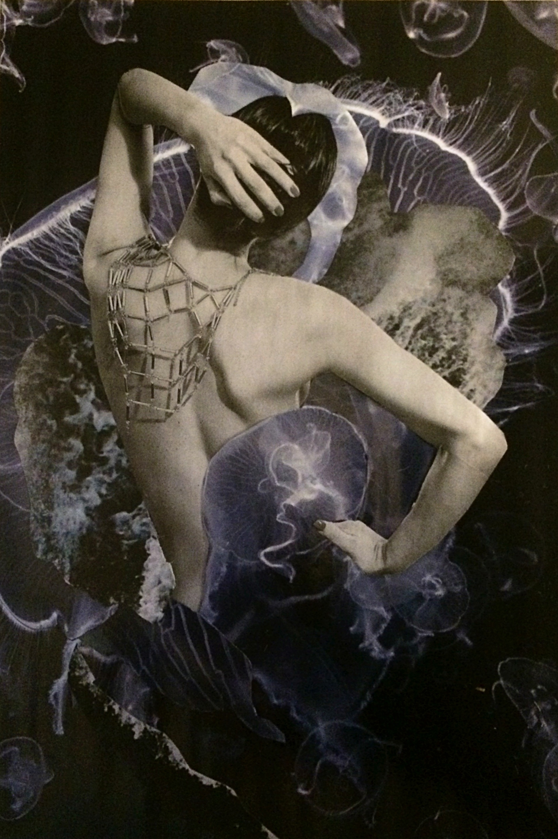 Meduza/ Jellyfish (2019)