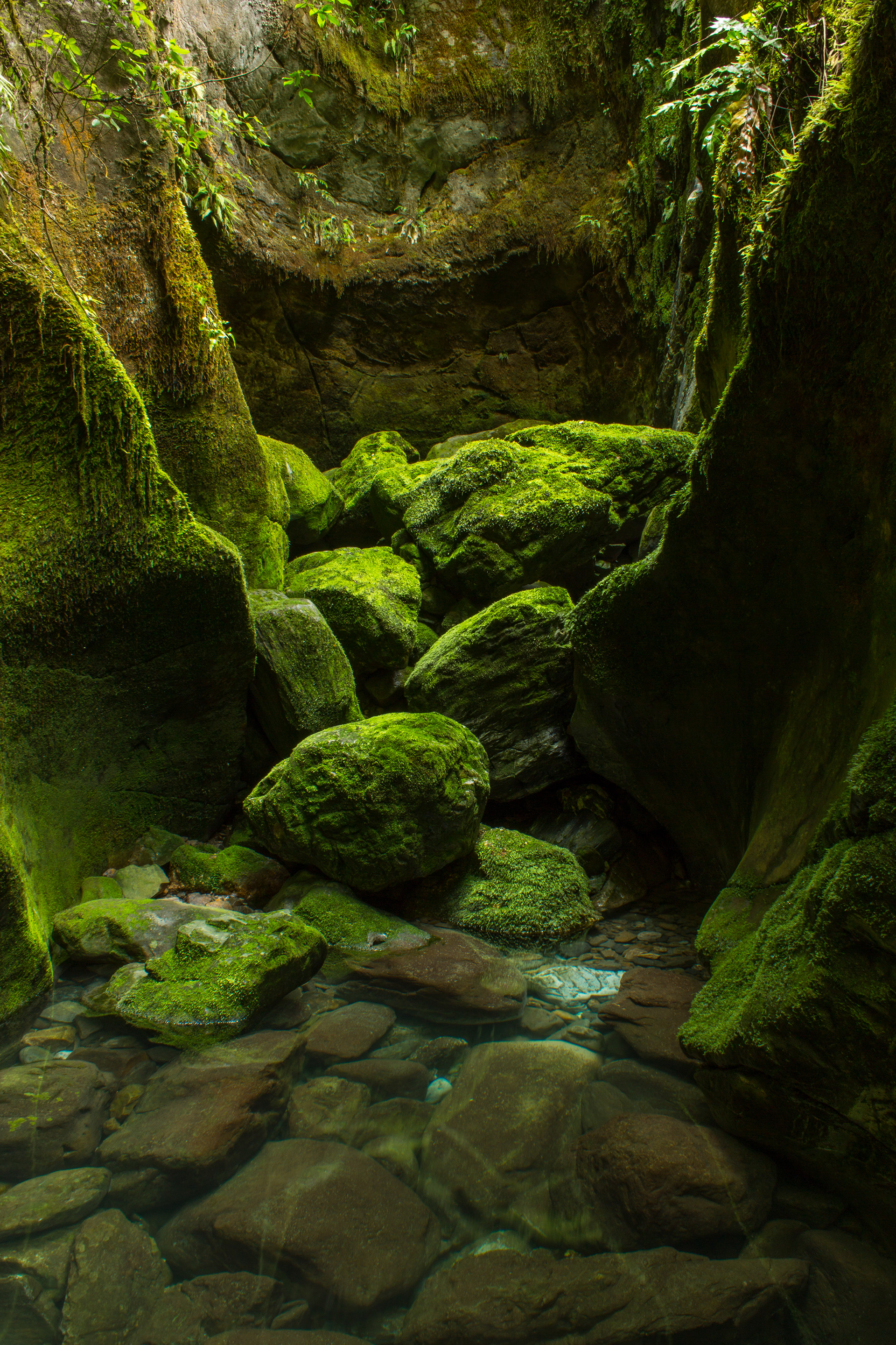 Blue Creek Resurgence