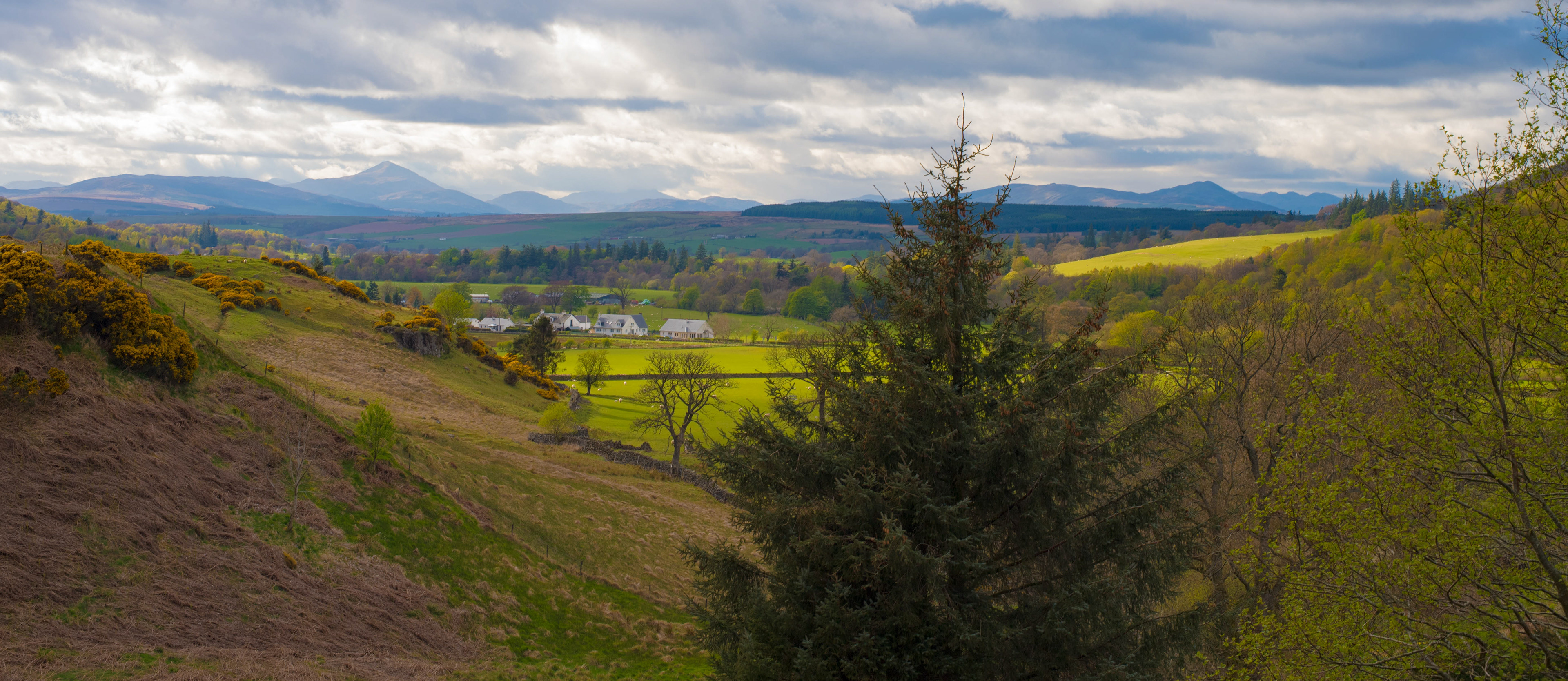 Ian McGregor - The Campsie Hills near Glasgow, Scotland
