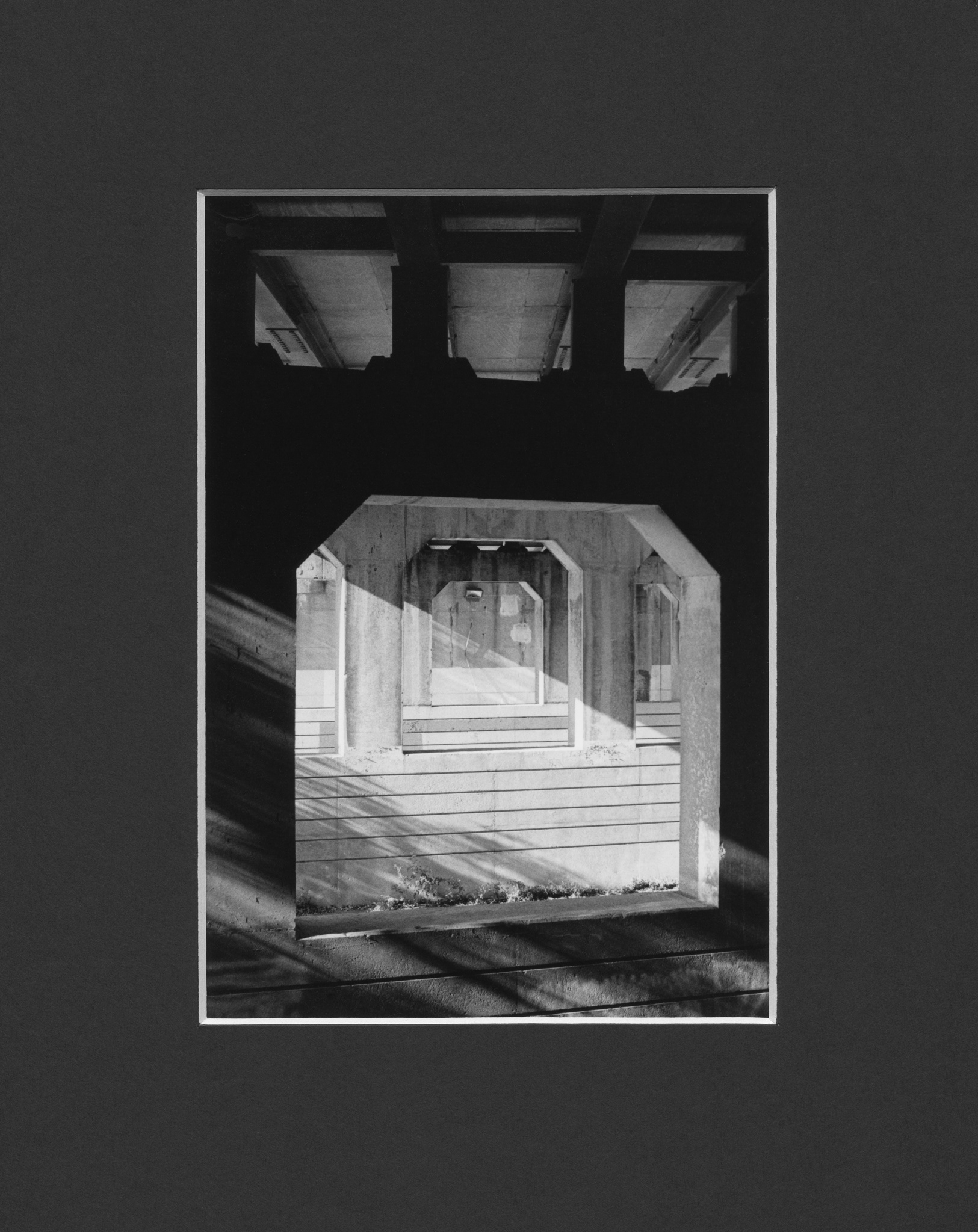 Into the Light