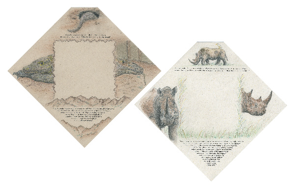 Illustration and stationery design