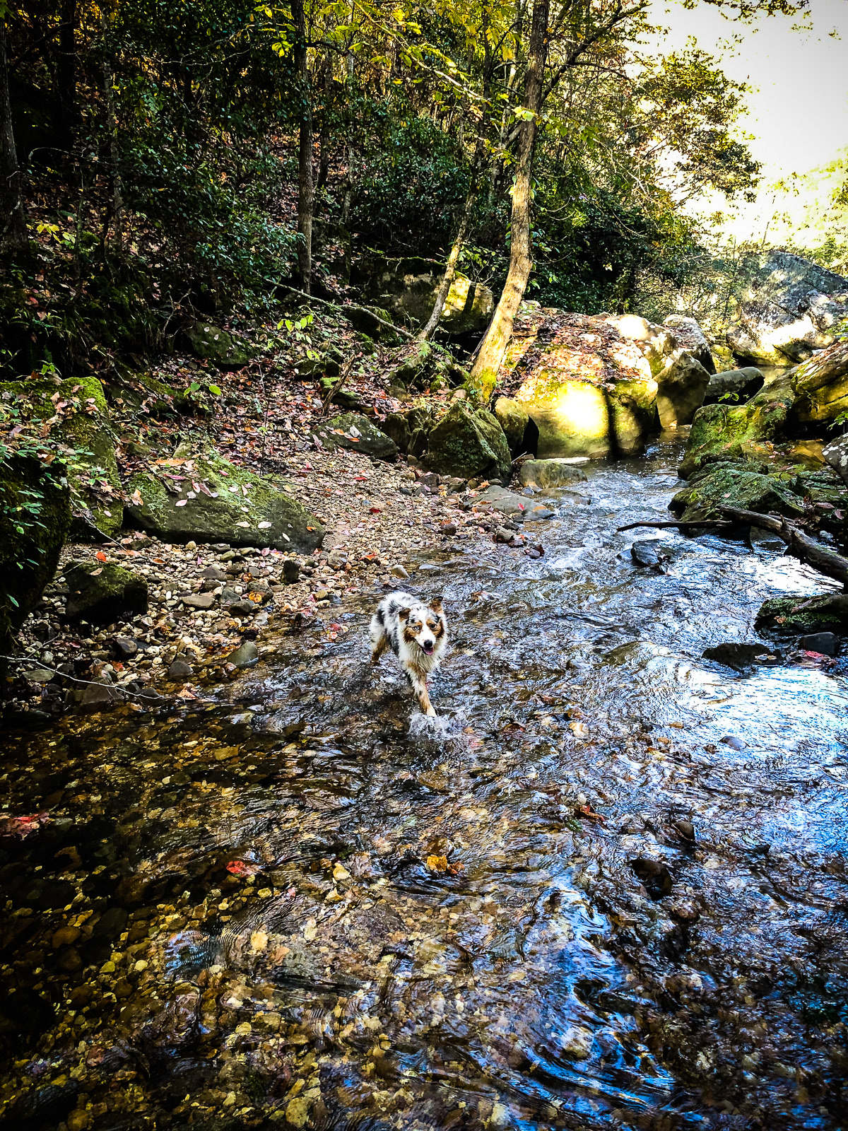 At Cane Creek Canyon
