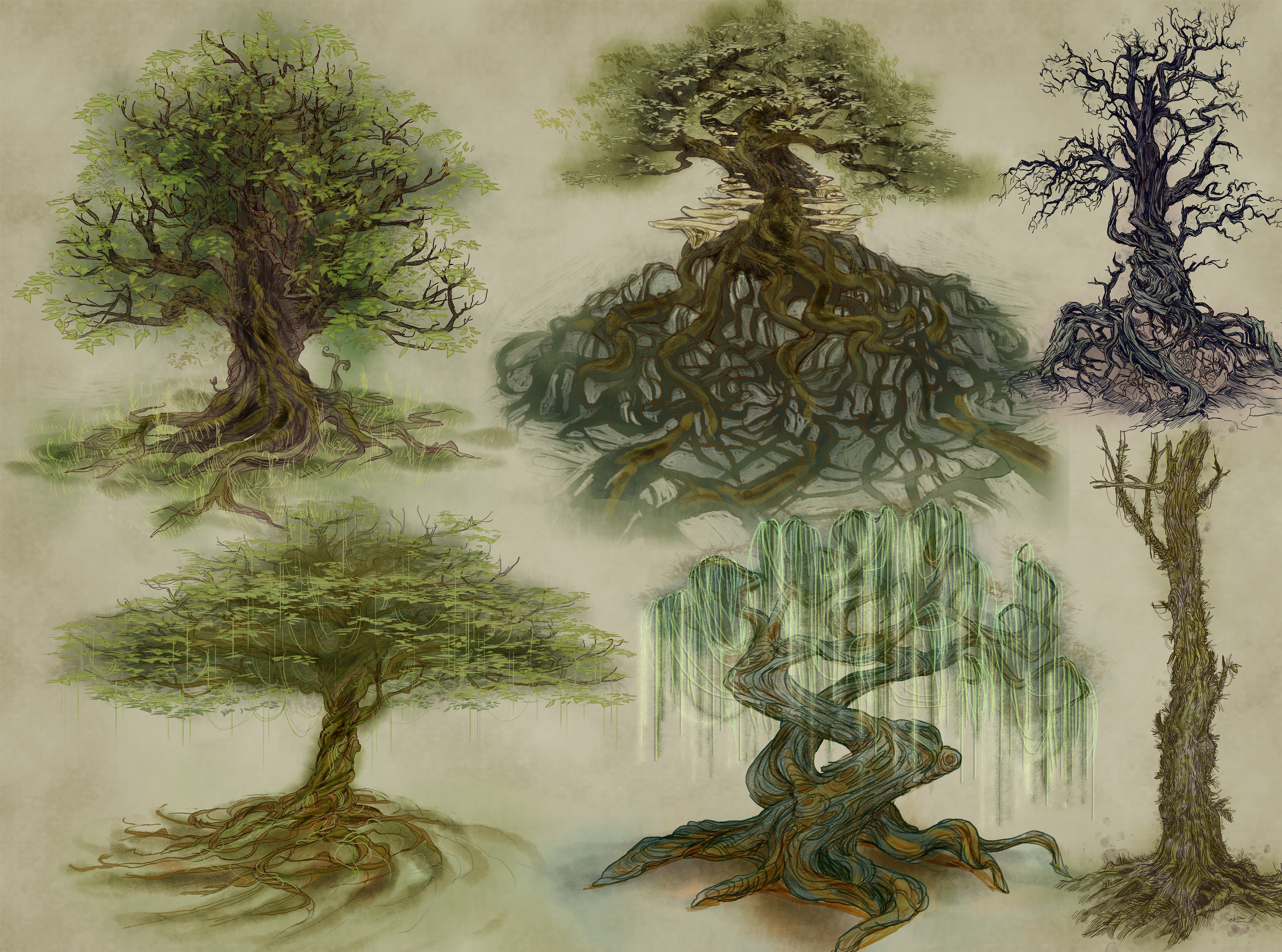 Fallen Stars TTRPG system - birth trees concepts