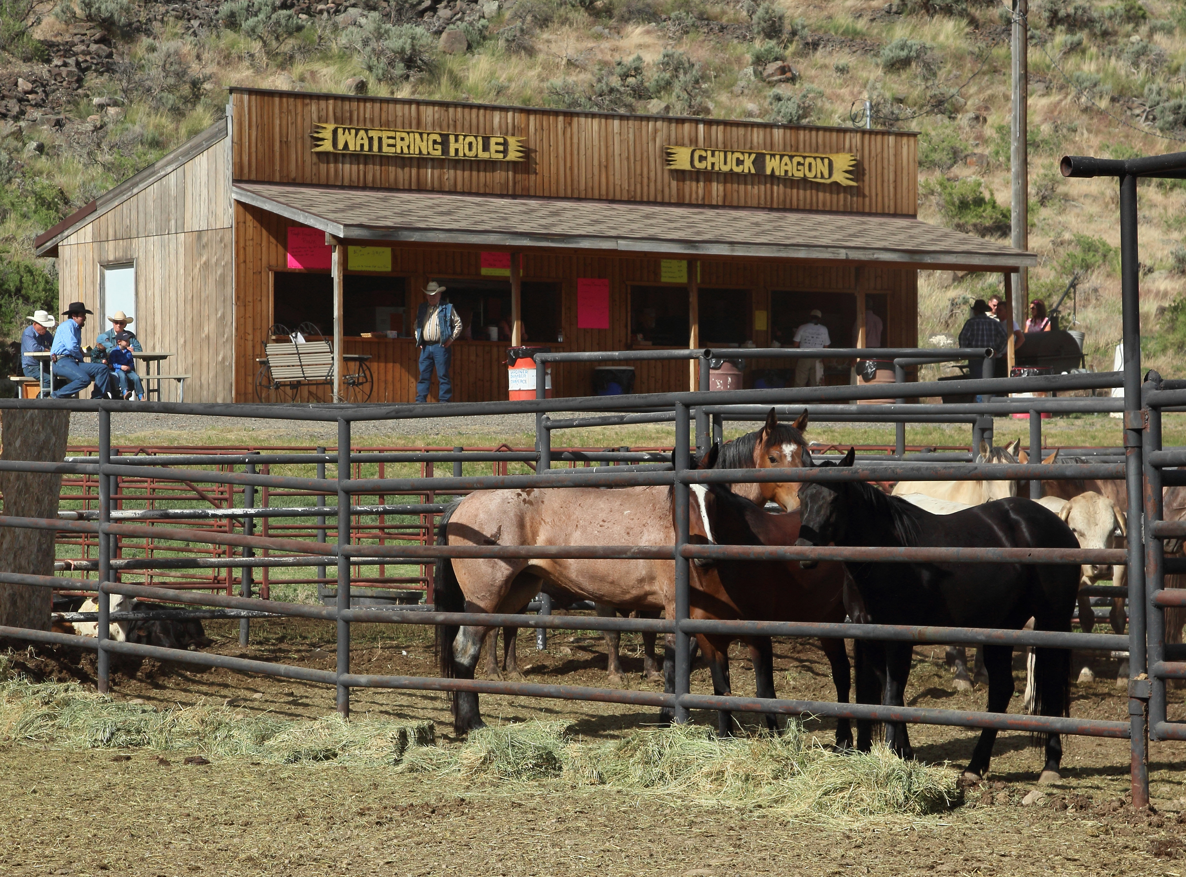 Alan Jones Photography Gardiner Rodeo, Montana