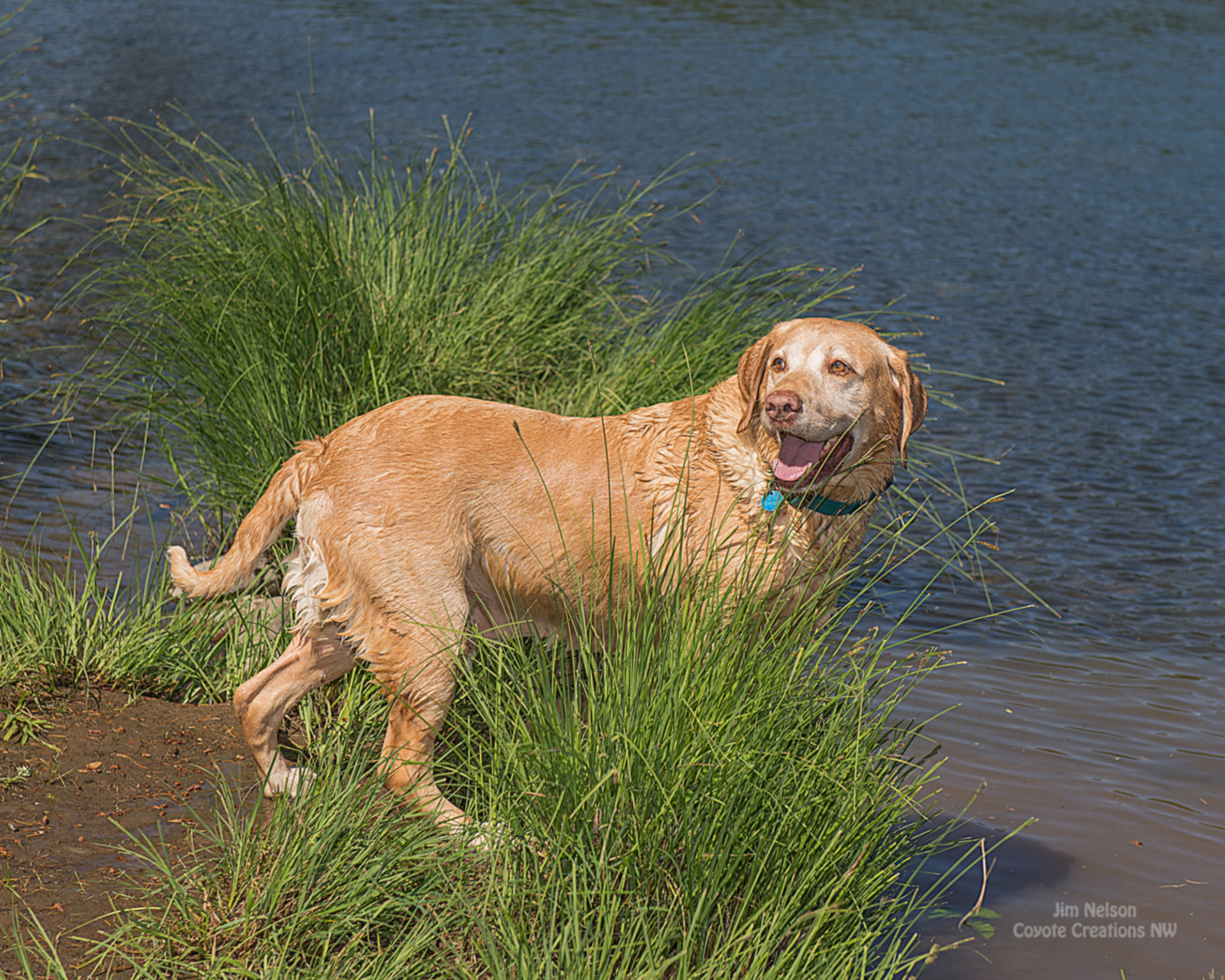 I'm Ready....Throw it!!