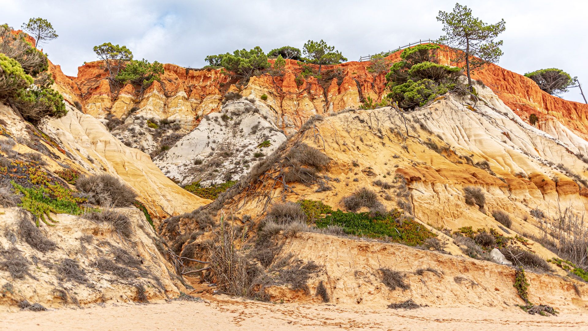 In the Pine Cliffs Resort Beach area