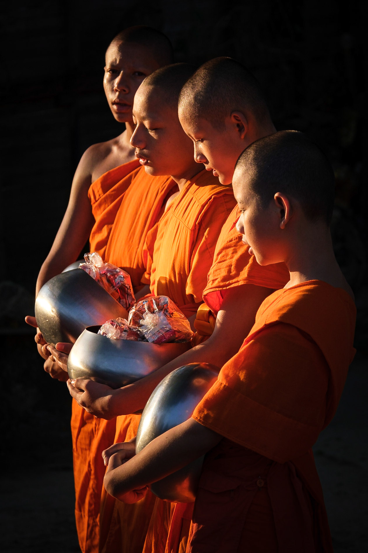 Young buddhist monks