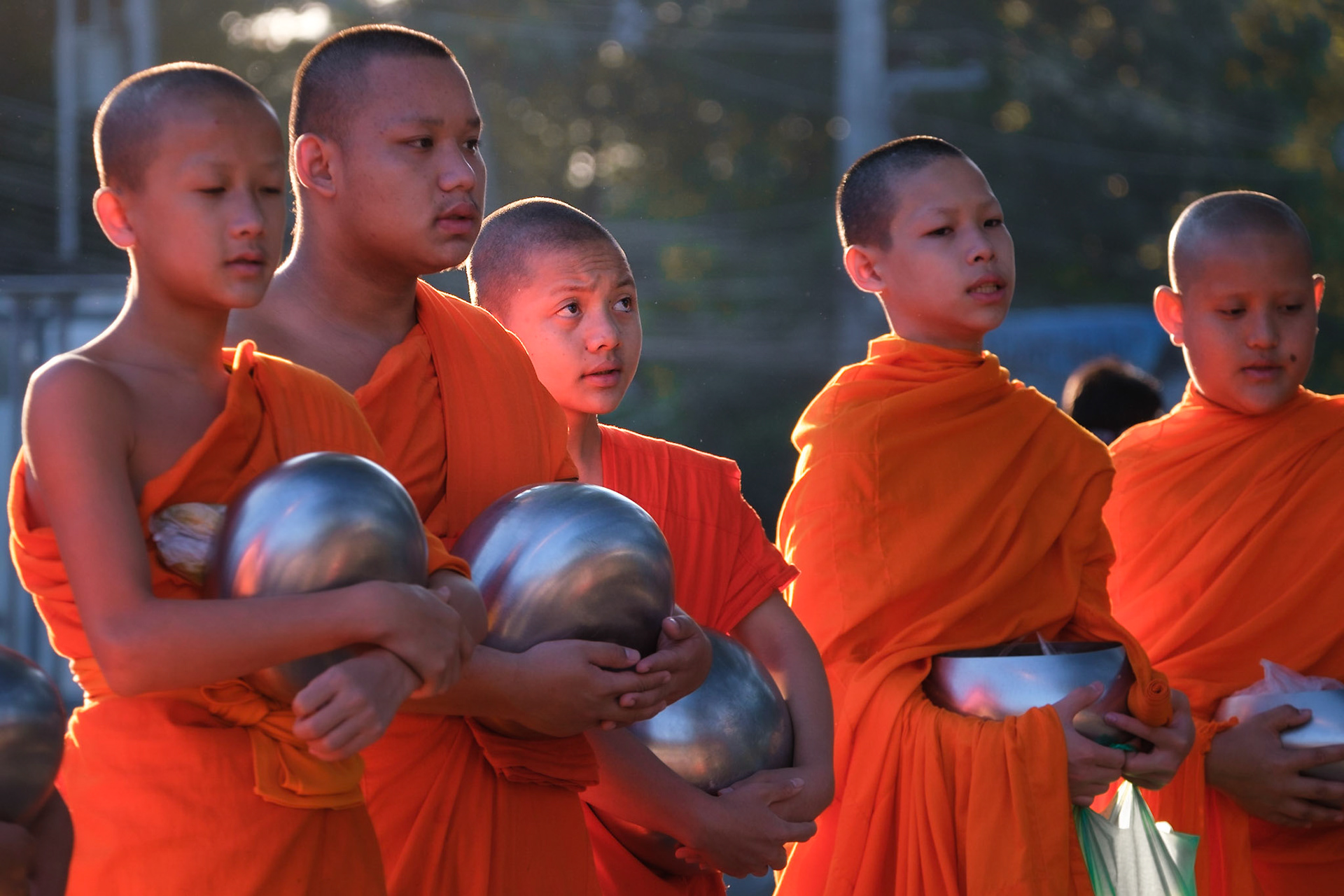 Young buddhist monks