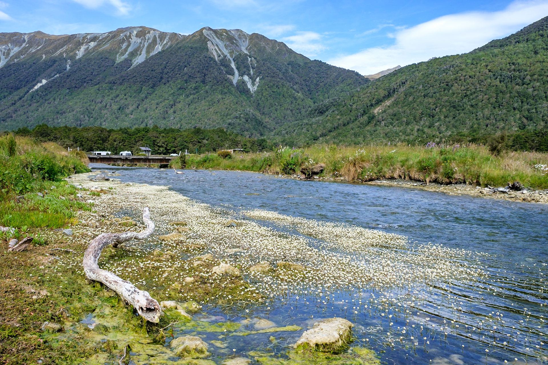 freedom camping cascade creek