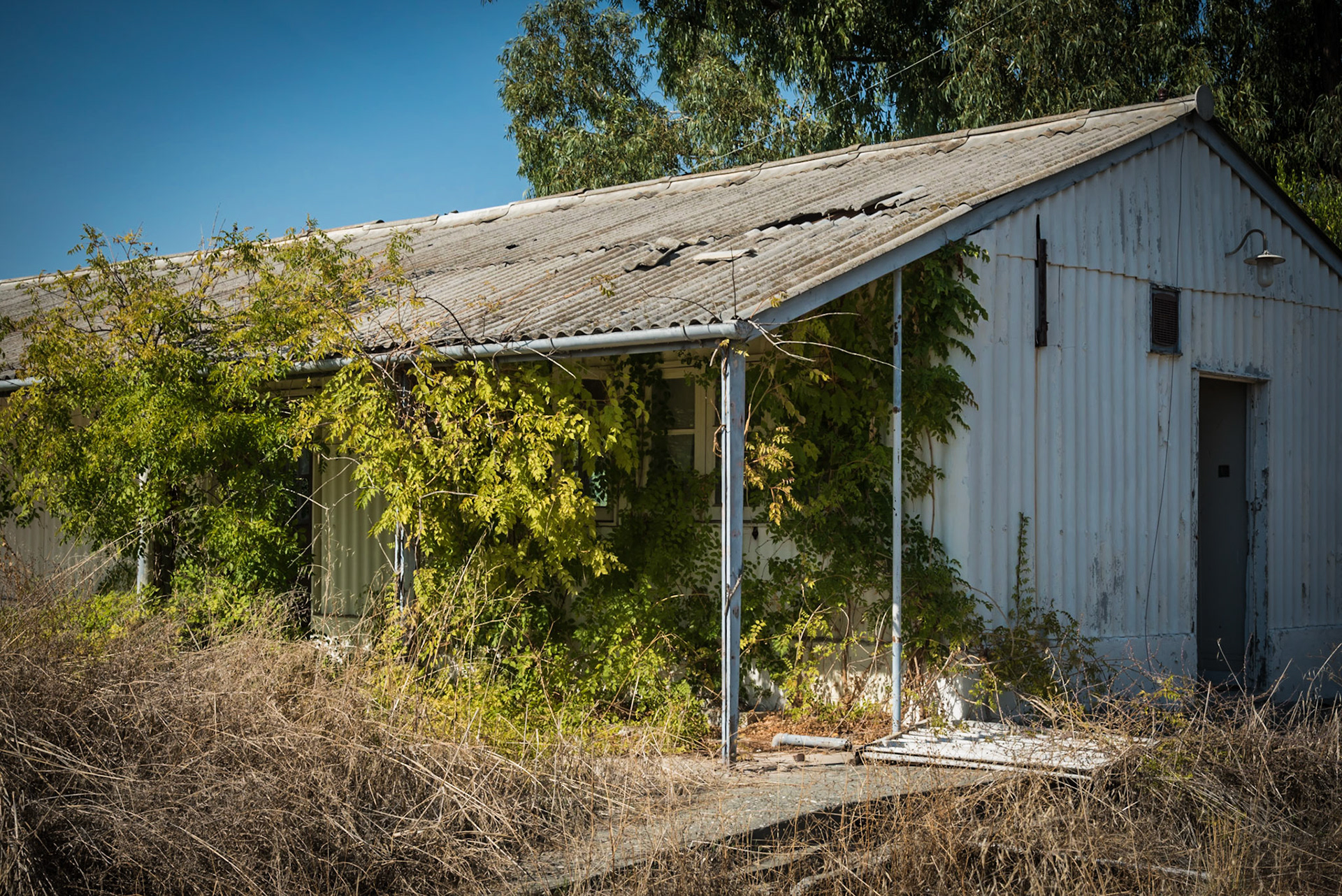 Abandoned house taken over by nature at the Berengaria Village in Limassol, Cyprus