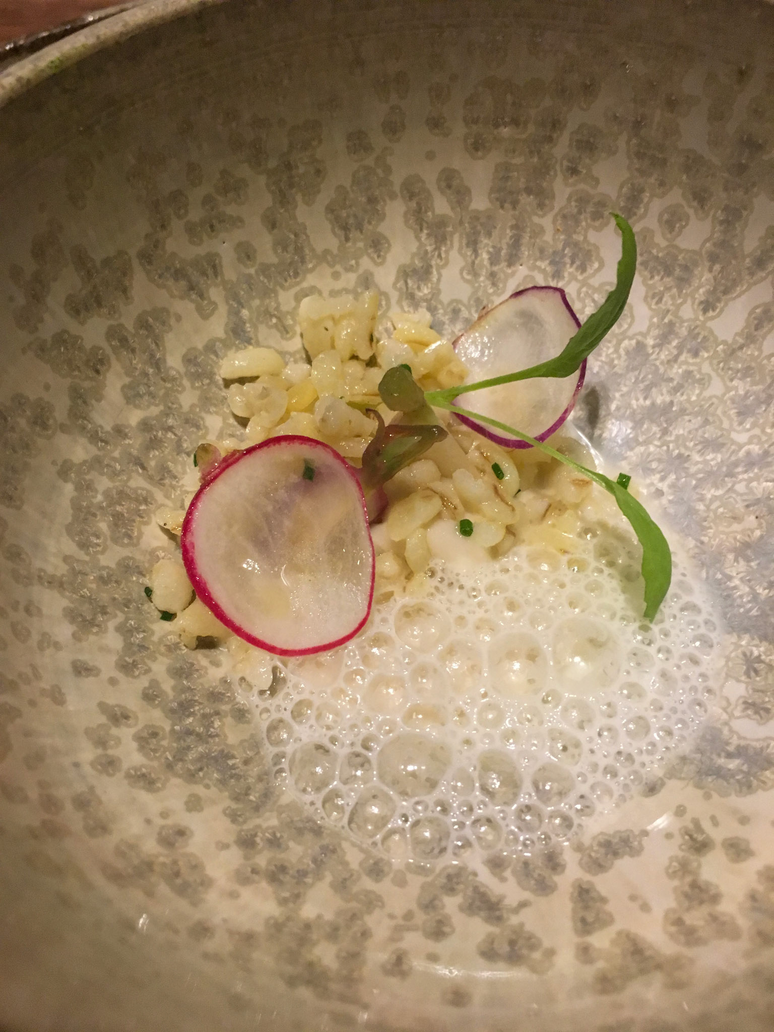 Cereal Risotto - Vegetarian Tasting Menu - Costes Downtown Restaurant - Budapest