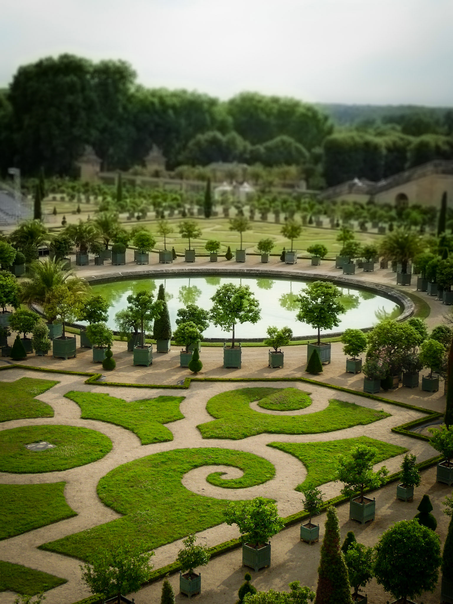 Parterre de l'Orangerie at the Chateau de Versailles -  Versailles France  - June 2017