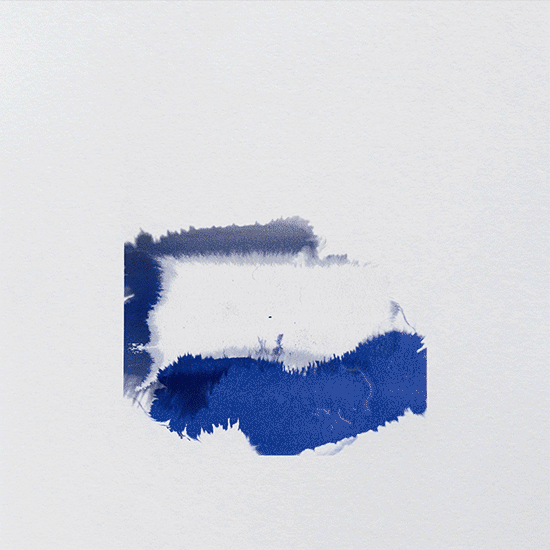 Animation pour La Prairie, illustration Aurore de la Morinerie