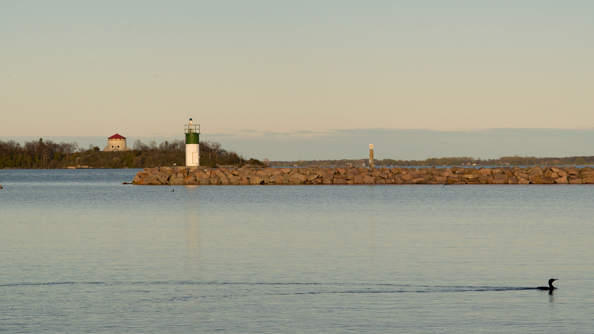 Confederation Harbour